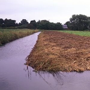 Conservation - Reserves - Cleared Dyke at Hazelwood Marshes - Suffolk Wildlife Trust