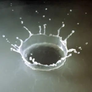 White Droplet Impact Print White Droplet Impact Print