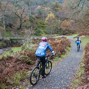 Cyclists mountainbiking along track on country estate, Powerscourt Estate, Enniskerry, County Wicklow, Ireland, november