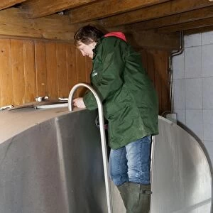 Dairy farming, woman from National Milk Records taking sample from bulk milk tank, England, may