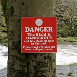 Danger, The Strid is Dangerous warning sign beside fast-flowing river, The Strid, River Wharfe, Bolton Abbey Estate