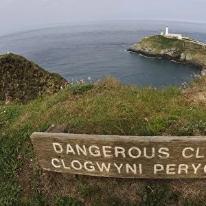 Dangerous Cliffs, Clogwyni Peryglus bilingual sign on clifftop, with lighthouse in background, South Stack Lighthouse