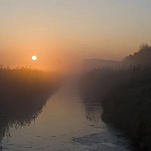 Dyke on edge of reedbed at dawn, Cley Marshes Reserve, Cley-next-the-sea, Norfolk, England, april