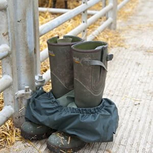 Farmers wellington boots and waterproof trousers outside pens at livestock market, Welshpool Livestock Market, Powys