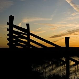 Fencing silhouetted in marshland habitat at sunrise, Elmley National Nature Reserve, North Kent Marshes