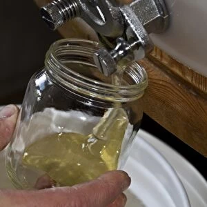 Filling a jar of honey from a storage drum. After the honey has been spun from the comb its filtered into the storage