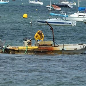 Fisherman fishing for clams, clamming boat with pump scoop dredge, Poole Harbour, Dorset, England, july
