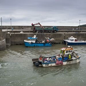 Fishing boat entering harbour, with whelks unloaded from fishing boat onto lorry, Saundersfoot, Pembrokeshire, Wales