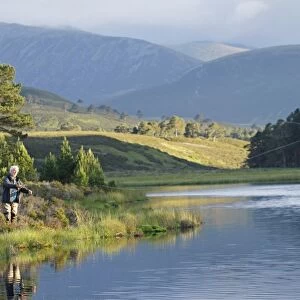 Fly fishing for trout in freshwater loch, Loch a Chnuic, Abernethy Forest, Strathspey, Cairngorms N. P