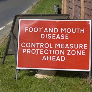 Foot And Mouth Disease, Control Measure Protection Zone Ahead sign at roadside, Surrey, England, September 2007
