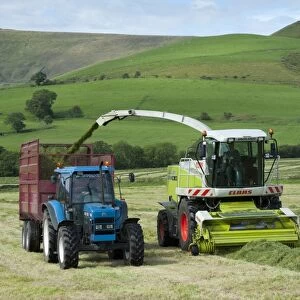Forage harvesting grass for silage, forage harvester cutting grass and loading wagon, Bleasedale, Lancashire, England