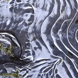 Frozen pool, close-up of ice patterns, Peak District N. P. Derbyshire, England, december
