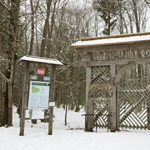Gate leading to primeval forest habitat, Bialowieza Strictly Protected Area, Bialowieza N. P