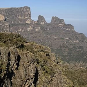 Gelada (Theropithecus gelada) troop, on cliff in mountain habitat, Simien Mountains, Ethiopia