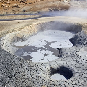 Geothermal activity with boiling mudpools, Namafjall, Myvatn, Iceland, May