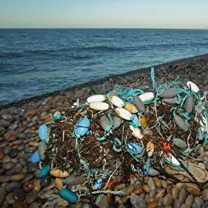 Gill net washed up on beach, Chesil Beach, Dorset, England, January