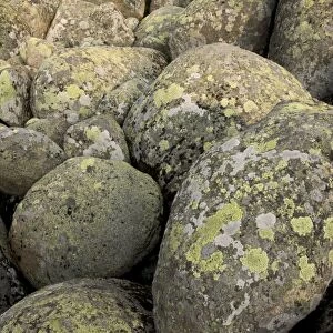 Granite boulders in stone run, peculiar geomorphological phenomenon formed from granite in periglacial conditions
