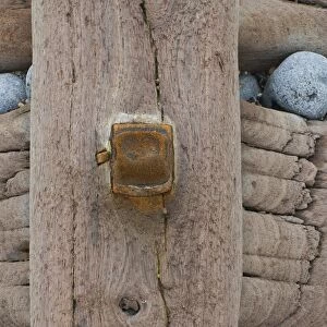 Groynes, abstract view of rusty bolt and pebbles stuck in weathered timber, West Runton, Norfolk, England