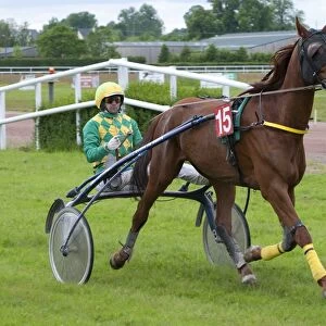 Horse racing, harness racing at racecourse, Vire Racecourse, Normandy, France, May