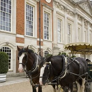 Horse, Shire Horse, two working adults, pulling tourist carriage at royal palace, Hampton Court Palace