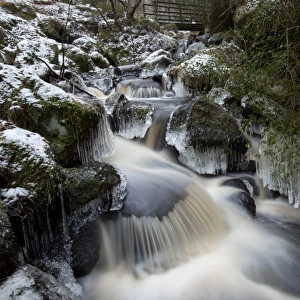 Ice formations and cascades in woodland stream, Wyming Brook, Sheffield, South Yorkshire, England, december