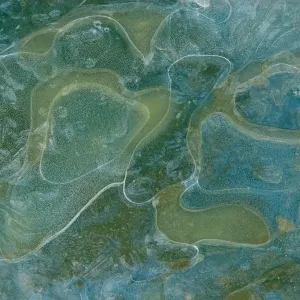 Ice, frozen puddle, Dorset, England, winter Ice, frozen puddle, Dorset, England, winter