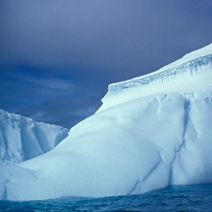 Icebergs Icebergs / Antarctic