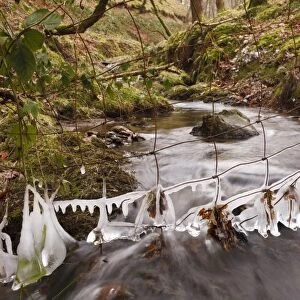 Icicles hanging from wire fence over upland stream, Powys, Wales, February