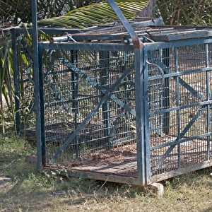 Indian Tiger (Panthera tigris tigris) cage, for relocating man-eating tigers, Sundarbans, Ganges Delta, West Bengal