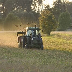 John Deere tractor pulling muck spreader, spreading muck on field in evening sunshine, Sweden