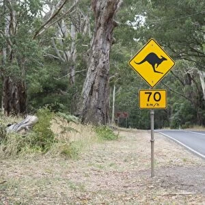 Kangaroo crossing road sign, Wombat State Forest, Trentham, Daylesford, Victoria, Australia, February