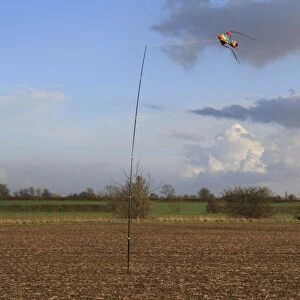 Kite birdscarer on pole, in cultivated arable field, Bacton, Suffolk, England, february