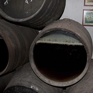 La Gitana sherry at Sanlucar de la Barrameda. A grass fronted sherry barrel show the fermenting process
