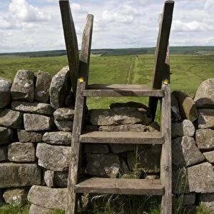 Ladder stile over drystone wall, between Crag Lough and Housesteads, Northumberland N. P. Northumberland, England, July