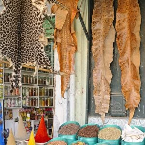 Leopard and snake skins for sale in market beside spices, Marrakesh, Morocco, january