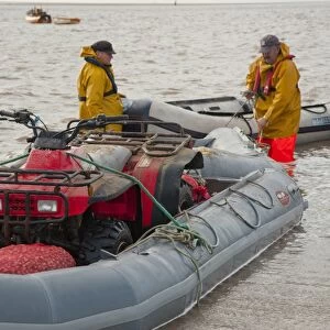 Licensed cockle pickers with quad bike in inflatable boat, unloading after picking from cockle beds, Foulnaze Bank