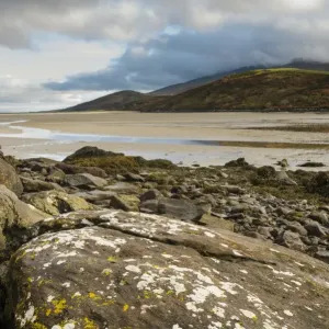 Lichen covered rock and beach at low tide, Cloghane, Dingle Peninsula, County Kerry, Munster, Ireland, November Lichen covered rock and beach at low tide, Cloghane, Dingle Peninsula, County Kerry, Munster, Ireland, November