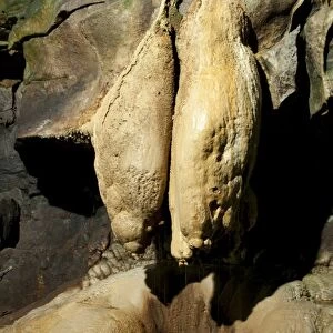 Limestone rock formation known as Queen Victorias Bloomers in cave, Ingleborough Cave, Yorkshire Dales N. P