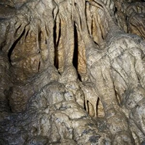 Limestone rock formations in cave, in section of cave not normally accessible to public, Ingleborough Cave