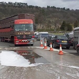 Livestock lorry about to go through disinfectant bath on leaving market, Bakewell Livestock Market, Bakewell