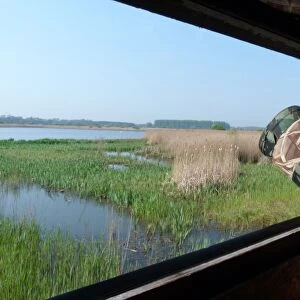 Looking out from Island mere hide at RSPB Minsmere Suffolk, a great place to photograph wildlife