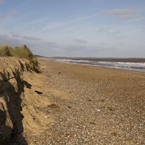 Looking north along Minsmere beach towards Southwold, Suffolk