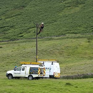 Mains electric technicians repairing cable on rural electricity pole, Cumbria, England, July
