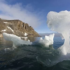 Melting glacial iceberg in fjord, Raudfjorden, Spitsbergen, Svalbard, August