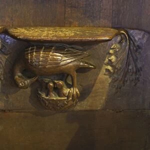 Misericord depicting pelican in her piety, in Medieval Europe pelicans were often depicted giving blood to young as