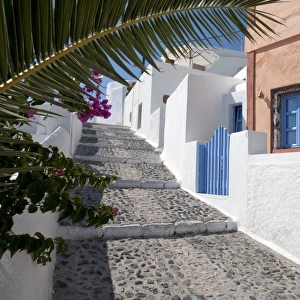 Narrow street with steps and painted houses, Oia, Santorini, Cyclades, Aegean Sea, Greece, September