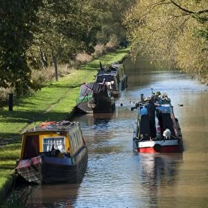 Narrowboats on canal, Shropshire Union Canal, Beeston, Tarporley, Cheshire, England, october