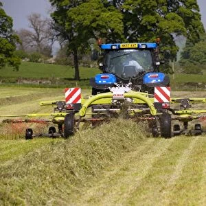 New Holland tractor with Cls grass rake, rowing grass up in silage field, Northumberland, England, May