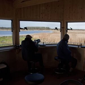 The New Island Mere hide at RSPB Minsmere, people looking west over reed beds