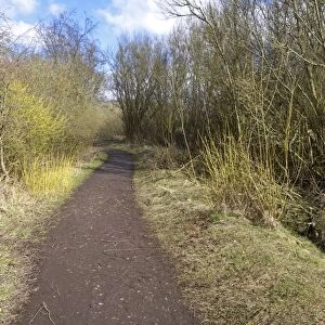 Path through deciduous woodland habitat, Sandwell Valley RSPB Reserve, West Midlands, England, April
